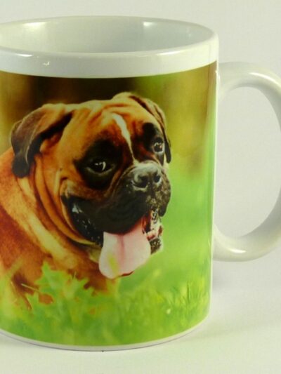 Hrnek Boxer